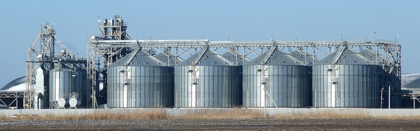 Сельское хозяйство